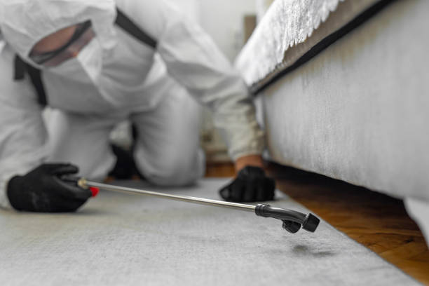 Professional Cockroach Control technician working in Hilo, HI