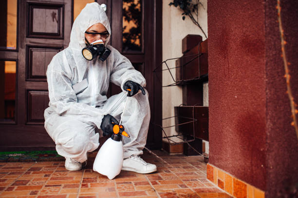Reliable Cockroach Control contractor in Hilo, HI by Nex Pest Control